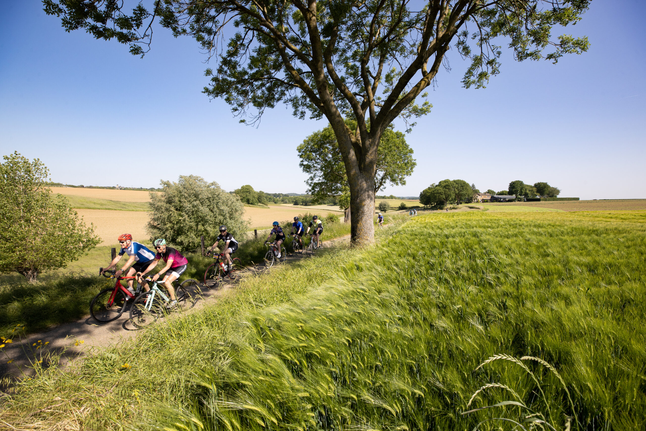 Zuid-Limburg racefiets Limburgs Mooiste fietsfestival in Heerlen voor racefiets, mountainbike, gravel en familietocht
