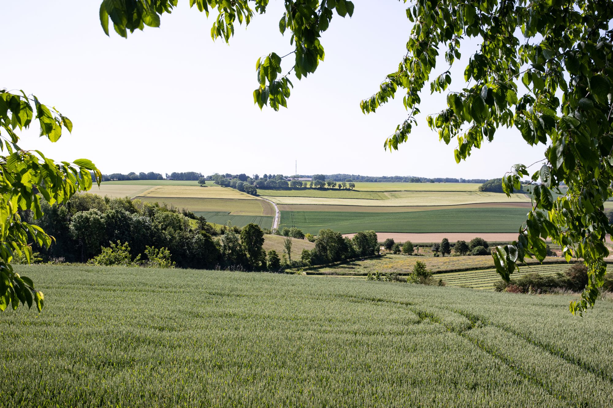 Rode route 110 km van Limburgs Mooiste: alle hoogtepunten op de racefiets