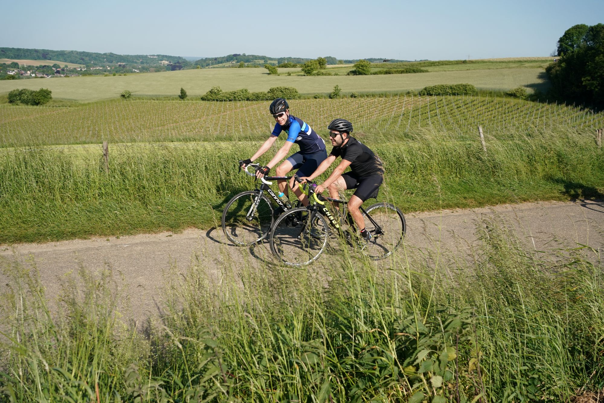 Wielrennen in het Zuid-Limburgse landschap
