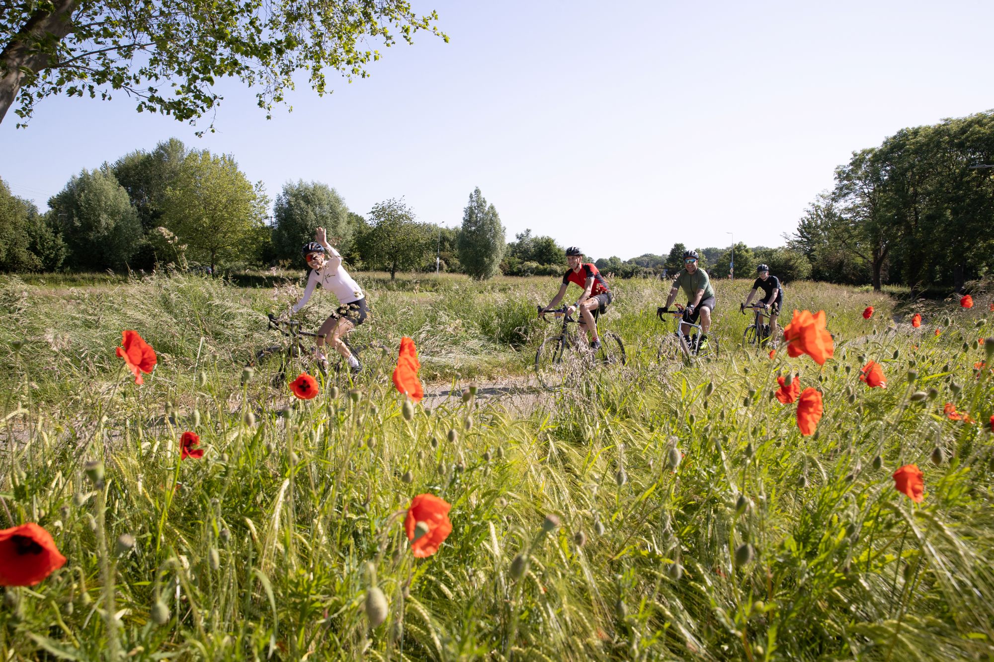 Wielrennen in Zuid Limburg