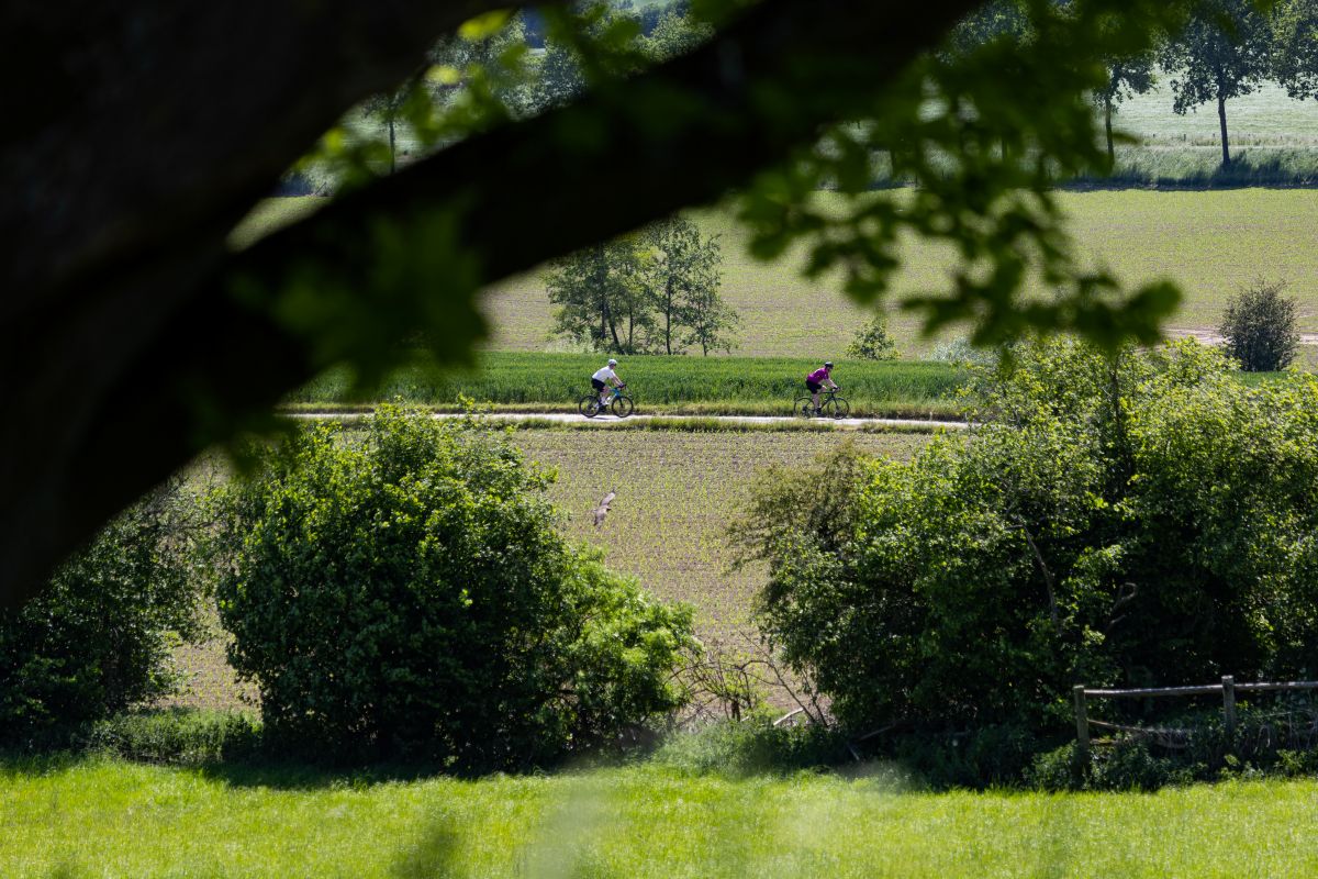 Gravellen nieuwe gravelroute Zuid-Limburg
