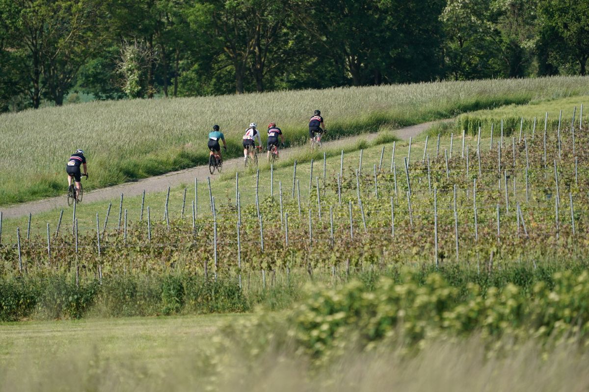 Wielertocht zonder massadrukte in Zuid-Limburg