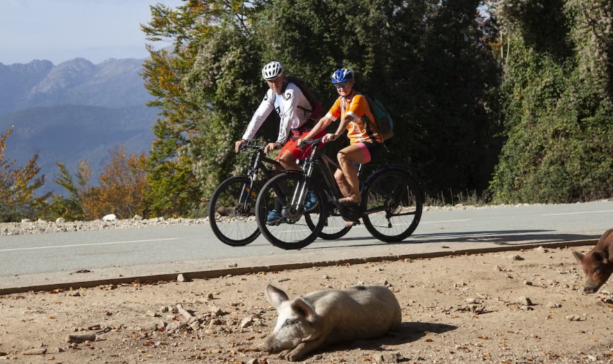 fietsen op Corsica